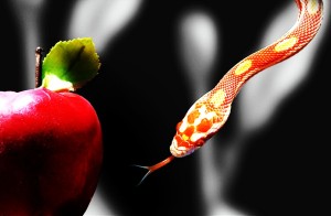 Apple and snake.